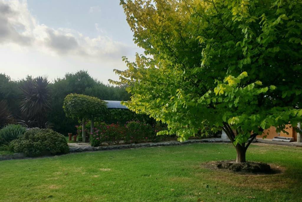 Bella Mia Tuscan Paradise Mount Gambier Exteriér fotografie