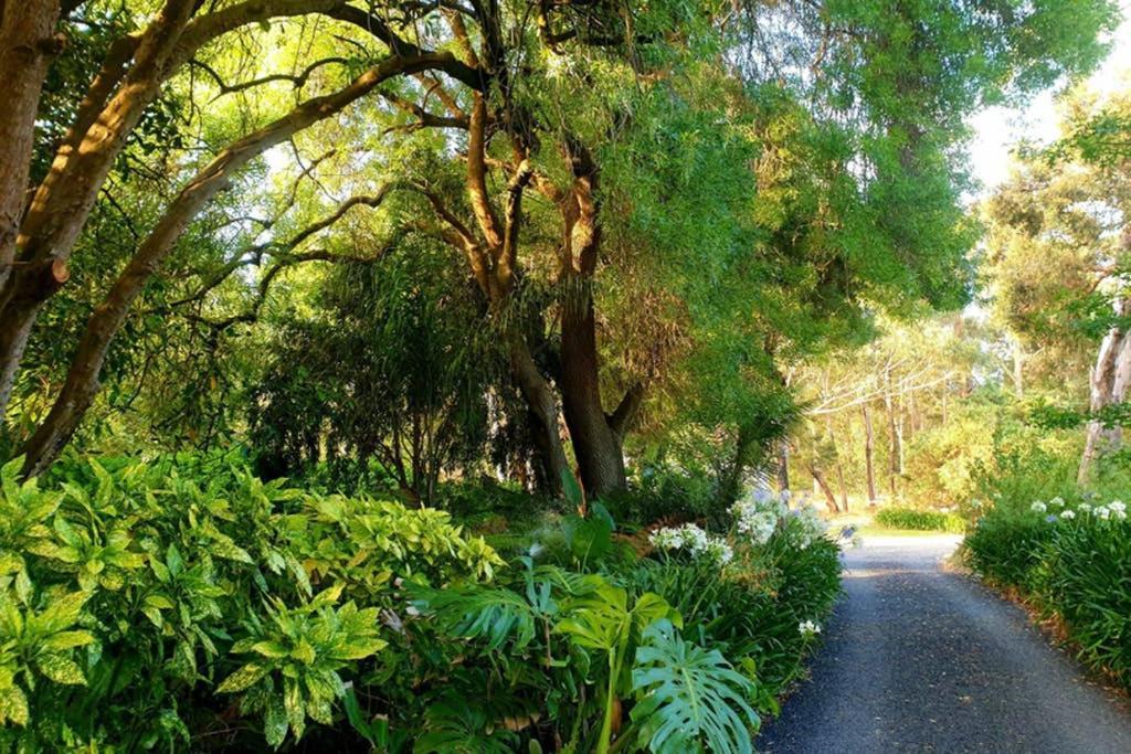 Bella Mia Tuscan Paradise Mount Gambier Exteriér fotografie